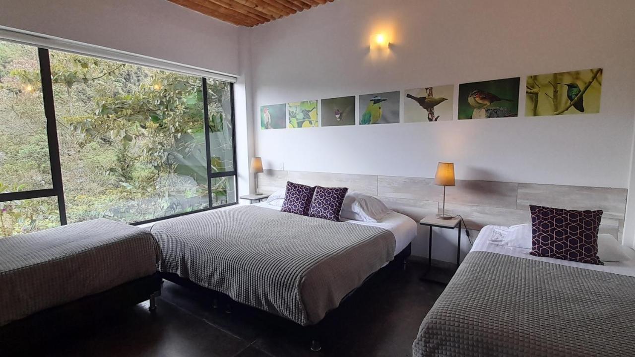 Termales Tierra Viva Hotel *