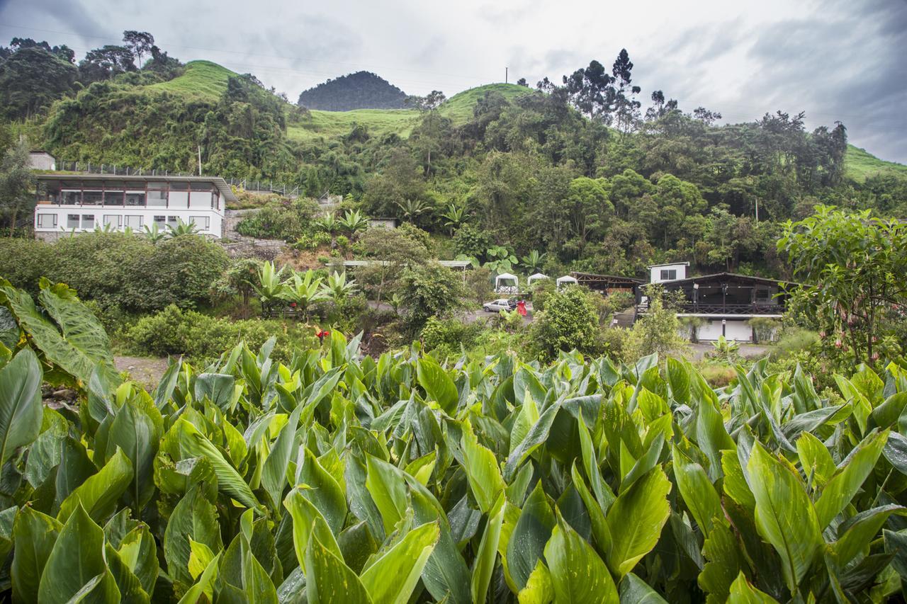 Termales Tierra Viva La Enea