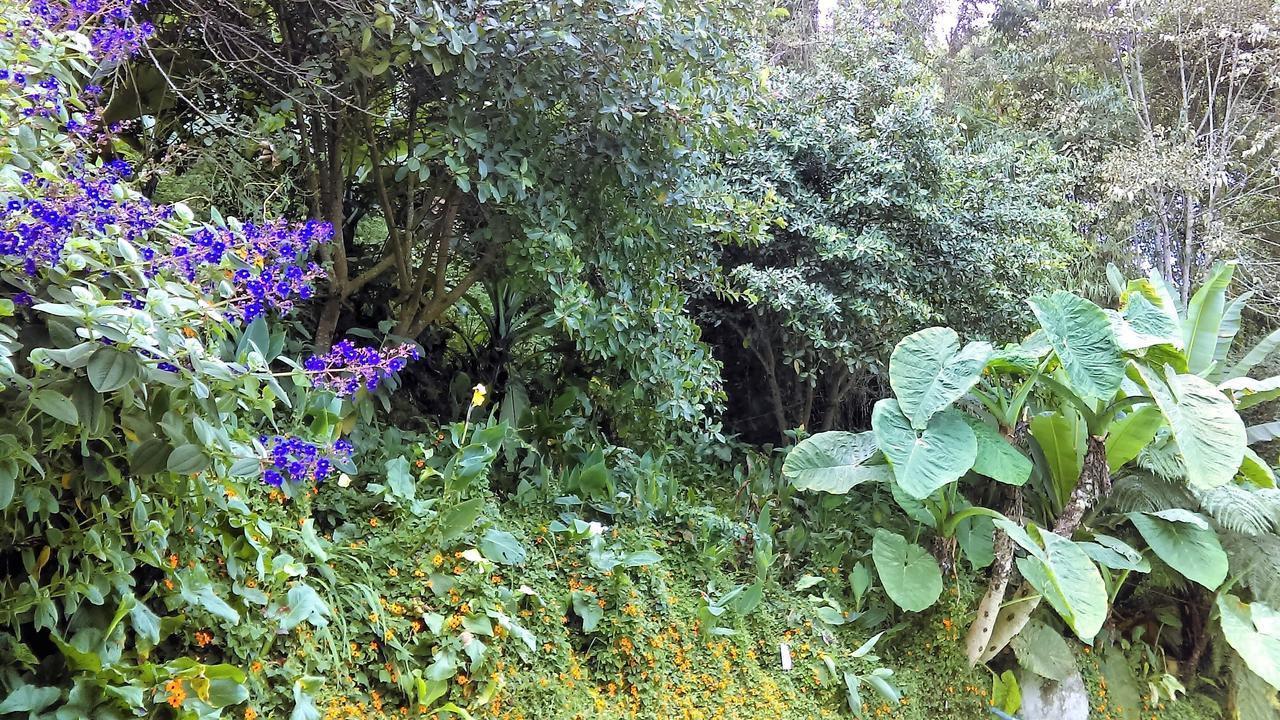Termales Tierra Viva