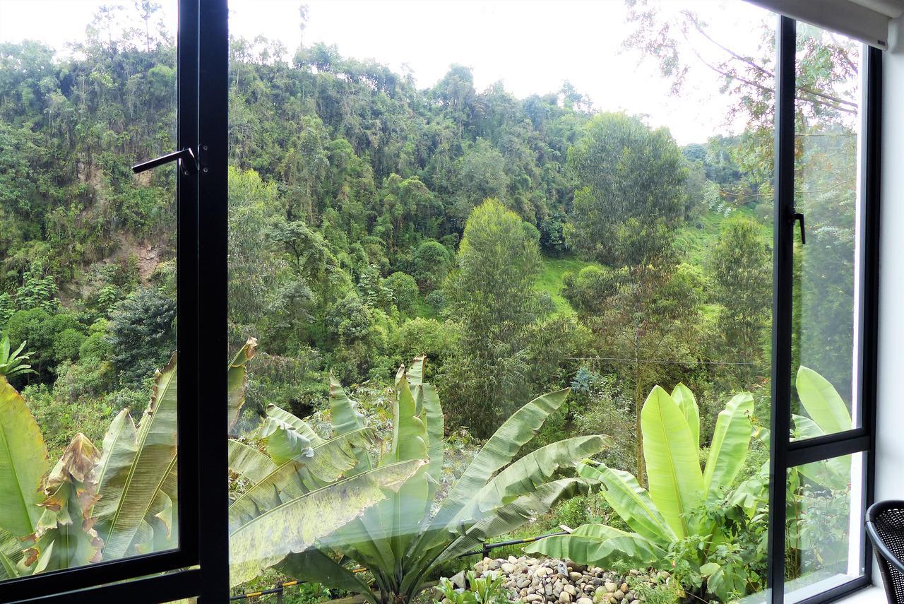 Termales Tierra Viva