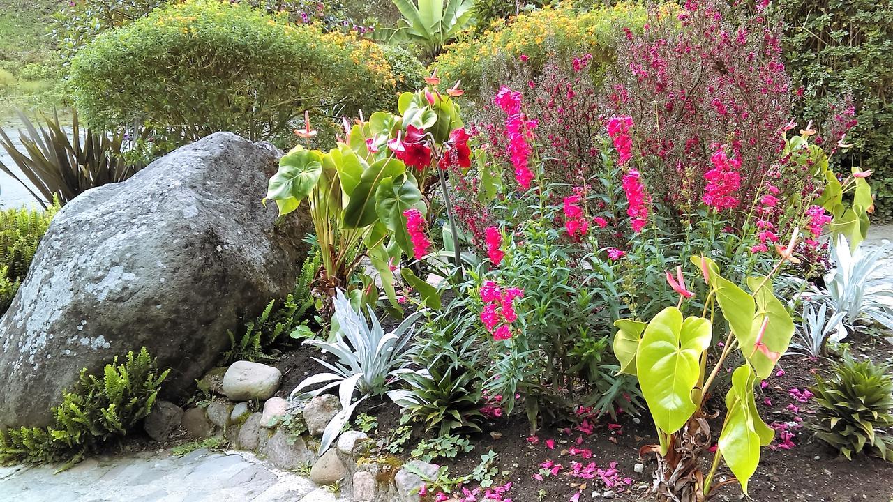 Termales Tierra Viva Manizales