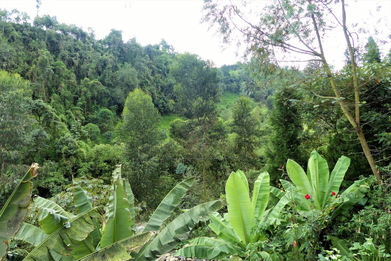 Termales Tierra Viva