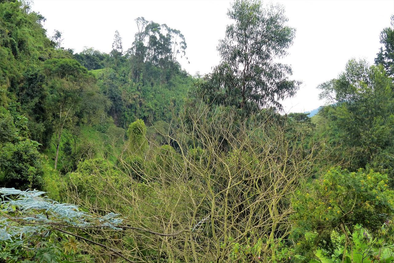 Termales Tierra Viva *